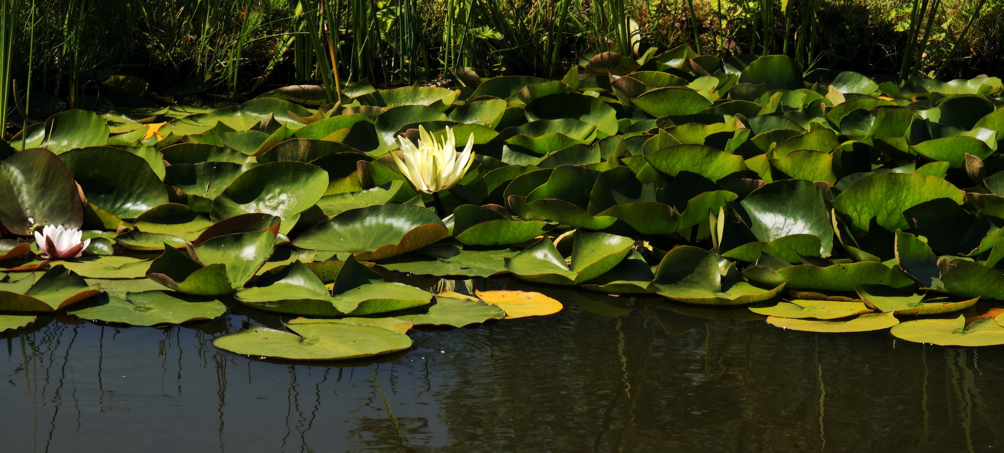 Park Miniatur Zabytków Dolnego Śląska
